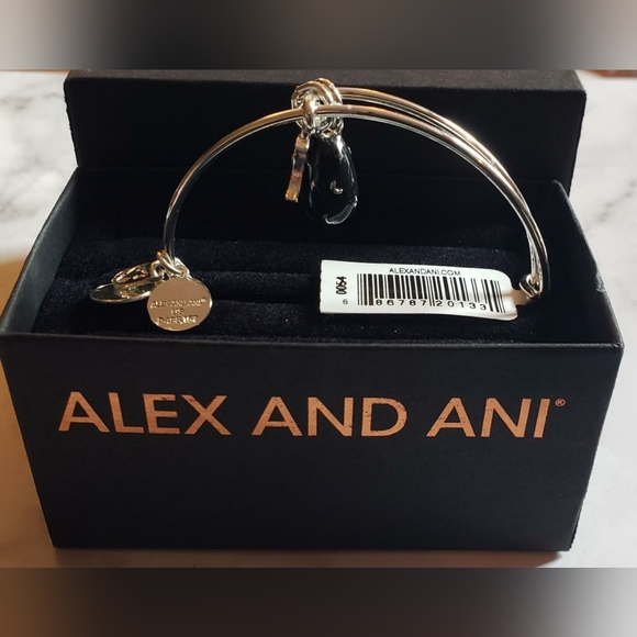 NWT Alex and Ani Silver Celestial Moon Duo Charm Bracelet - Picture 2 of 4